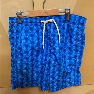 MC2 Saint Barth Boys Swim Trunks